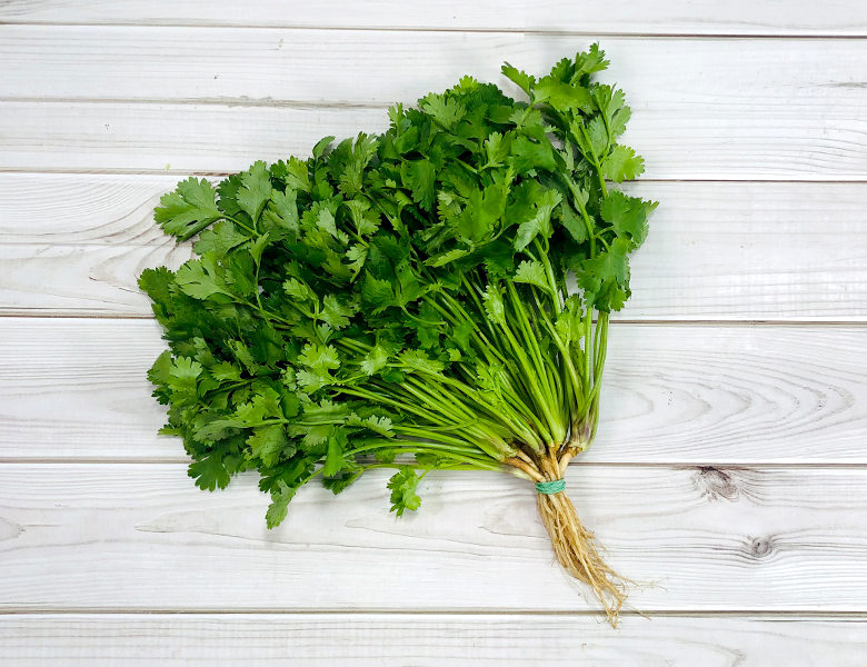 Coriander in malay