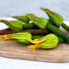 Zucchini flowers
